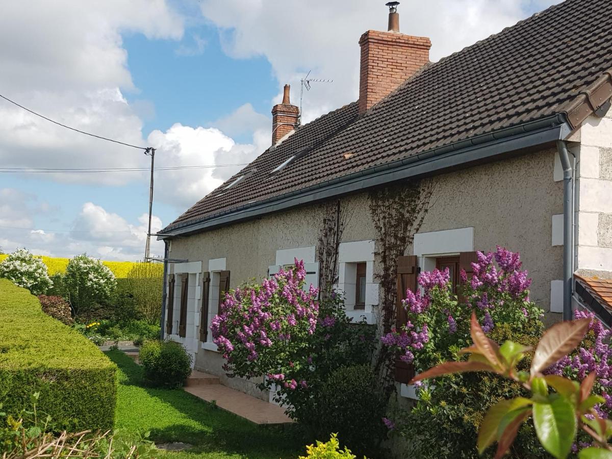 Chambres D'hôtes Anne-Marie Châtillon-sur-Indre Extérieur photo