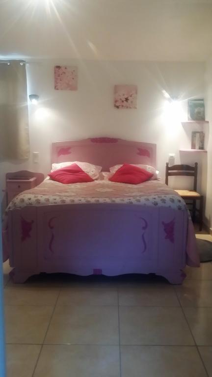 Chambres D'hôtes Anne-Marie Châtillon-sur-Indre Extérieur photo