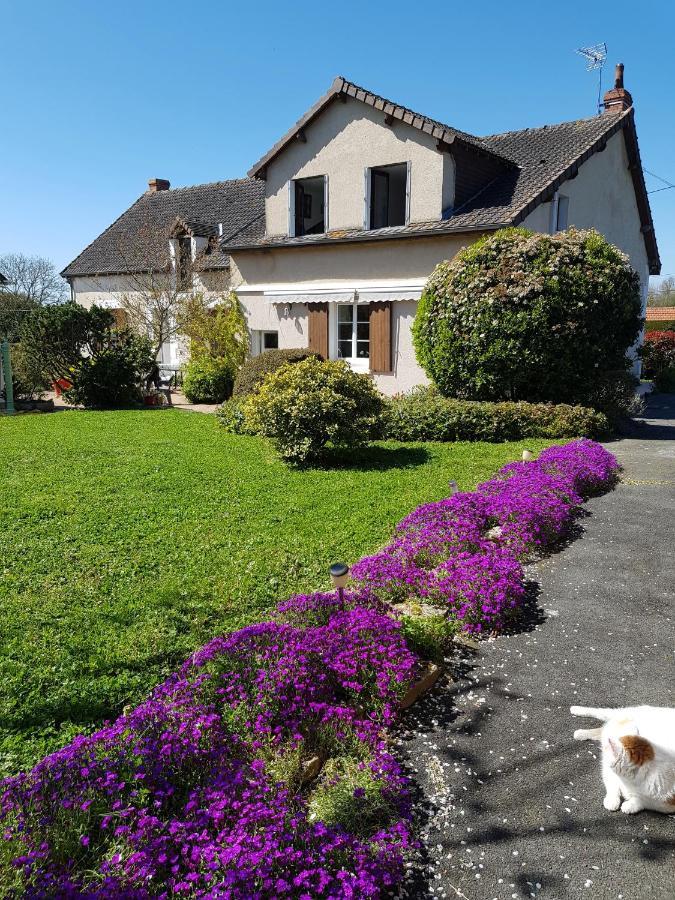 Chambres D'hôtes Anne-Marie Châtillon-sur-Indre Extérieur photo