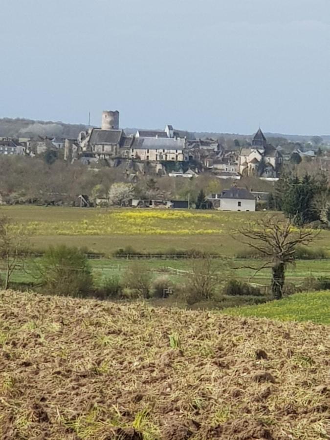 Chambres D'hôtes Anne-Marie Châtillon-sur-Indre Extérieur photo